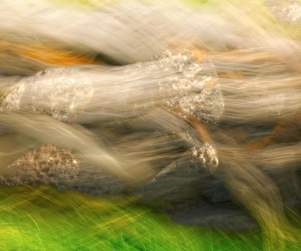 Symbolic representation of energy circles and fluid motion